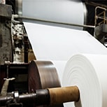 White paper roll machine