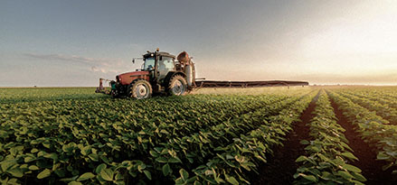 Tractor in the middle of a field