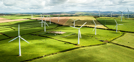 Wind turbines across grass fields