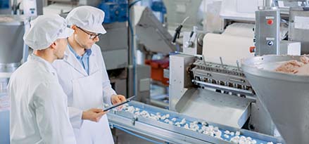 people inspecting food production